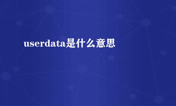 userdata是什么意思