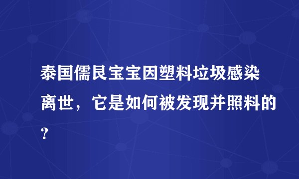 泰国儒艮宝宝因塑料垃圾感染离世,它是如何被发现并照料的?