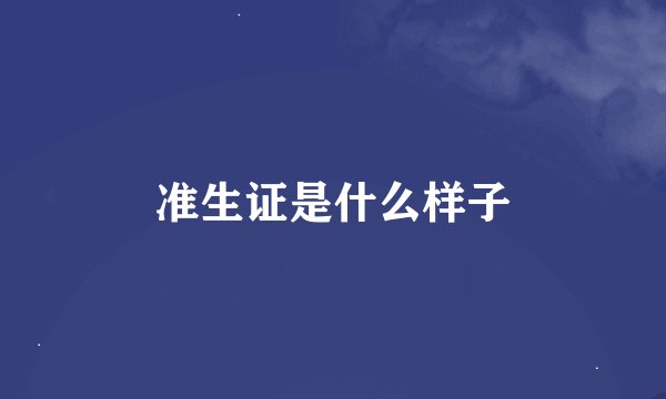准生证是什么样子