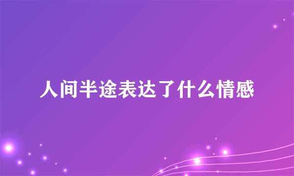 人间半途表达了什么情感