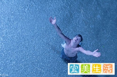 《肖恩克的救赎》:没有期待,在哪里都是监狱