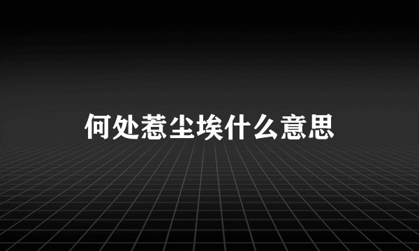 何处惹尘埃什么意思