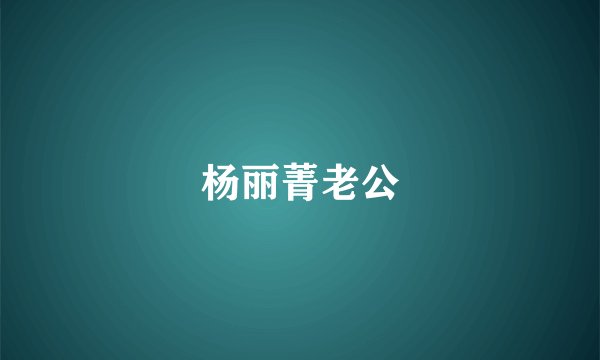 杨丽菁老公
