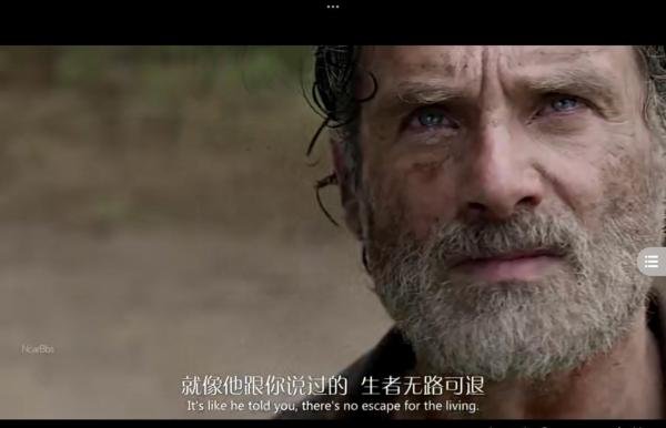 《行尸走肉》剧版-第11季24集-大结局/全剧终/结尾-主角摘要