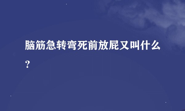 脑筋急转弯死前放屁又叫什么？
