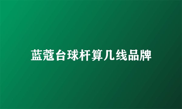 蓝蔻台球杆算几线品牌