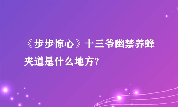 《步步惊心》十三爷幽禁养蜂夹道是什么地方?