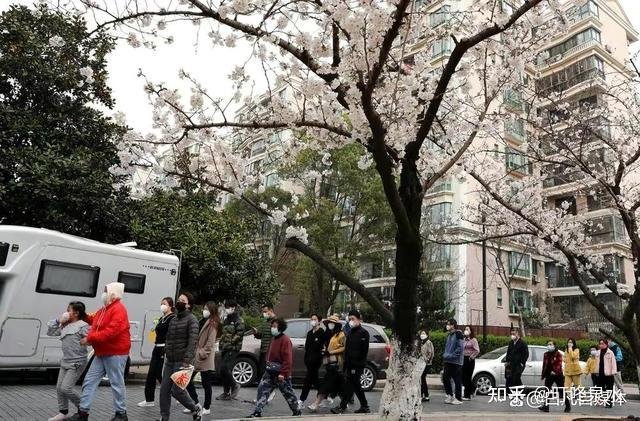 张文宏谈第四针疫苗接种 这是咋情况?