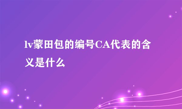 lv蒙田包的编号CA代表的含义是什么