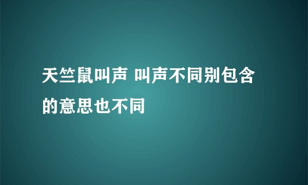 天竺鼠叫声 叫声不同别包含的意思也不同