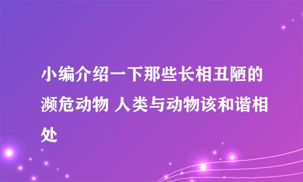 小编介绍一下那些长相丑陋的濒危动物 人类与动物该和谐相处