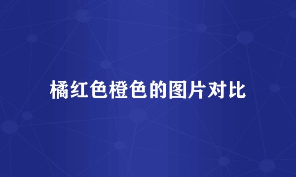 橘红色橙色的图片对比