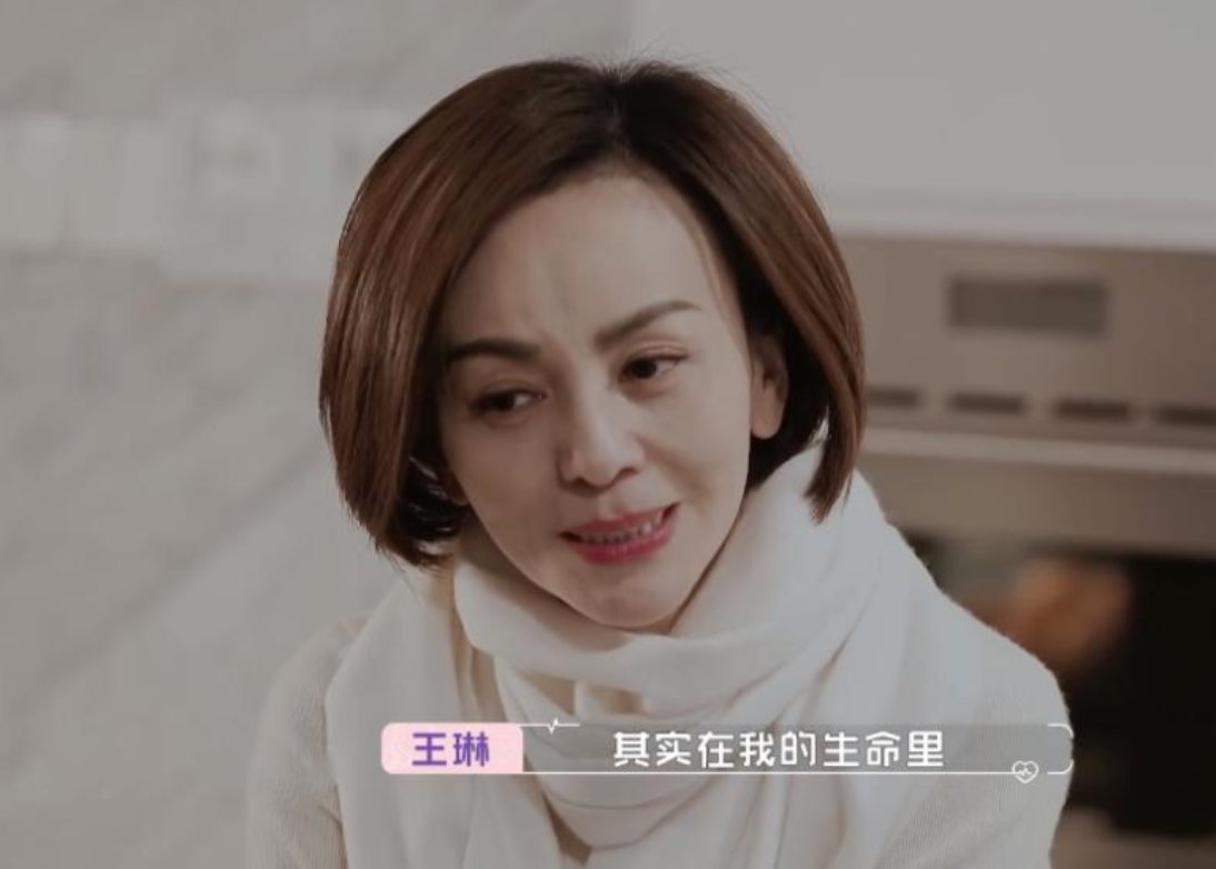 王琳上节目被批骗子,是为什么?