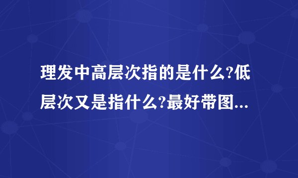 理发中高层次指的是什么?低层次又是指什么?最好带图片说明。。