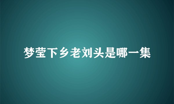梦莹下乡老刘头是哪一集