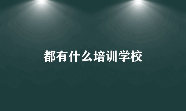 都有什么培训学校