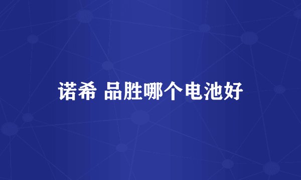 诺希 品胜哪个电池好