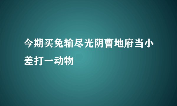 今期买兔输尽光阴曹地府当小差打一动物