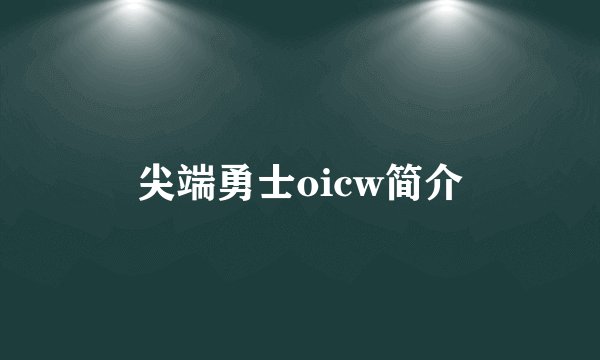 尖端勇士oicw简介