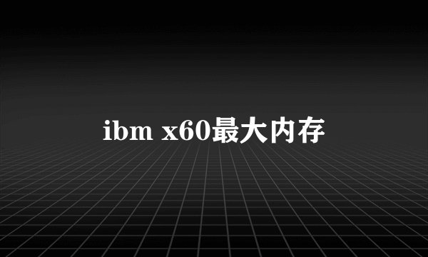 ibm x60最大内存