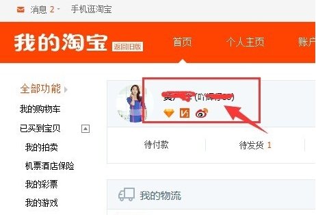 阿里旺旺淘宝 id是指什么呀,用户名吗