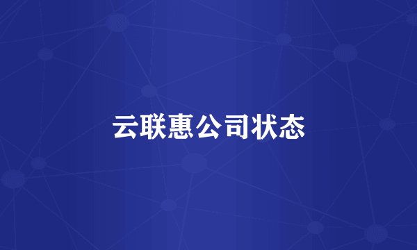 云联惠公司状态