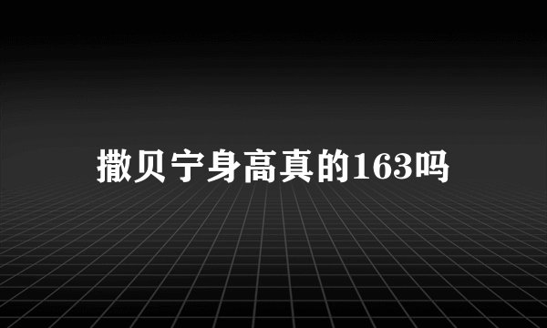 撒贝宁身高真的163吗