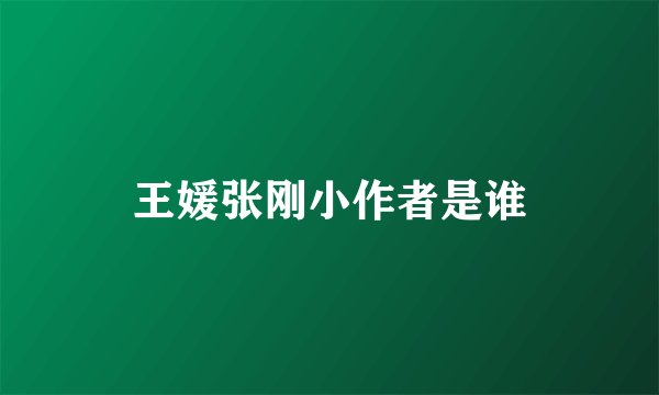 王媛张刚小作者是谁