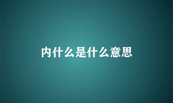 内什么是什么意思