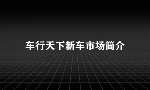 车行天下新车市场简介