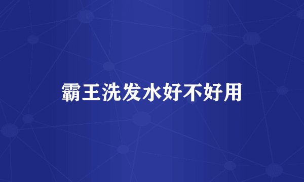 霸王洗发水好不好用