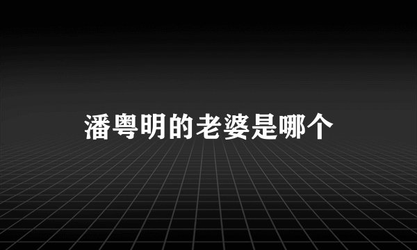 潘粤明的老婆是哪个