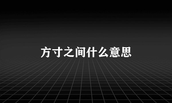 方寸之间什么意思