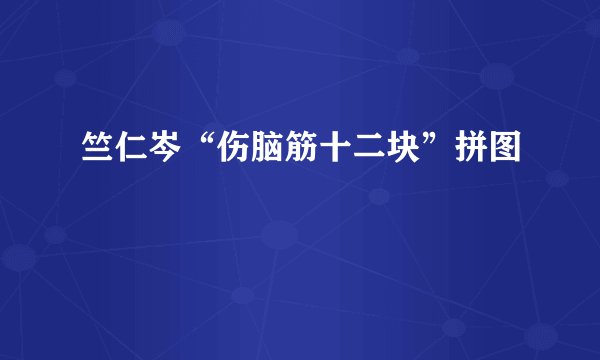 竺仁岑“伤脑筋十二块”拼图