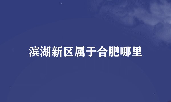 滨湖新区属于合肥哪里