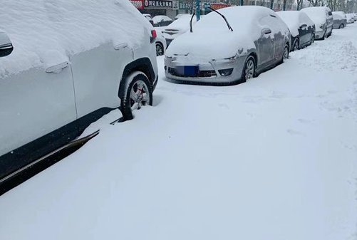 应对暴雪，哈尔滨进入临战状态，这场暴雪给当地的交通造成了哪些影响？