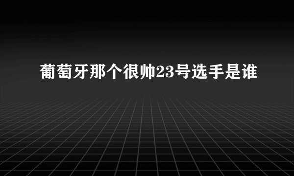 葡萄牙那个很帅23号选手是谁