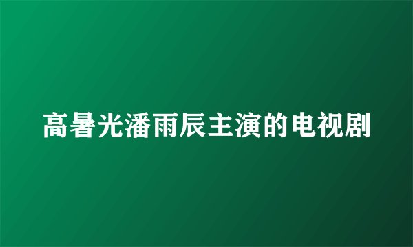 高暑光潘雨辰主演的电视剧
