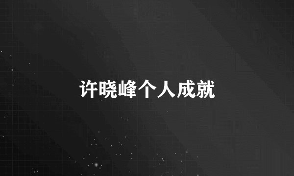 许晓峰个人成就