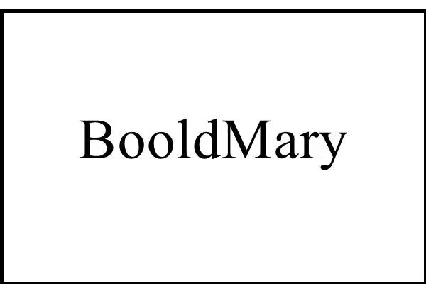bool怎么读