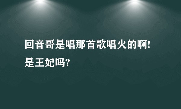 回音哥是唱那首歌唱火的啊! 是王妃吗?