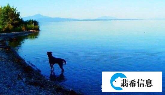 所谓人生
