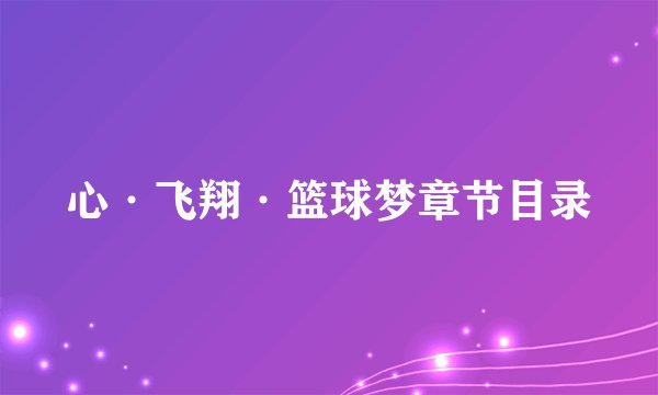 心·飞翔·篮球梦章节目录