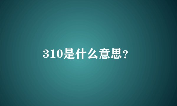 310是什么意思？