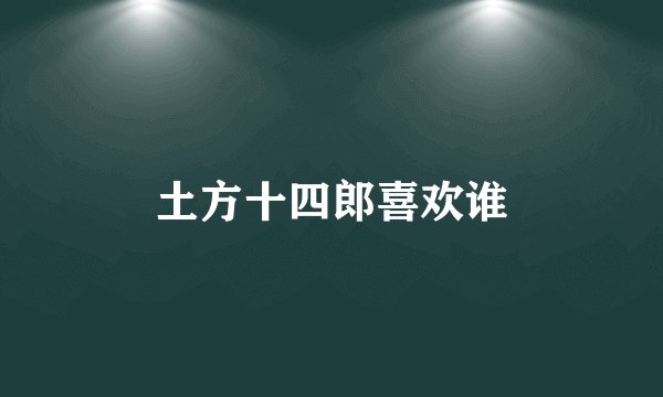土方十四郎喜欢谁