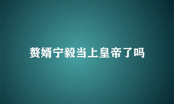 赘婿宁毅当上皇帝了吗