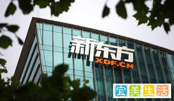 杭州新东方回应“违规补课”：都是素质素养的课程，教育局回应！