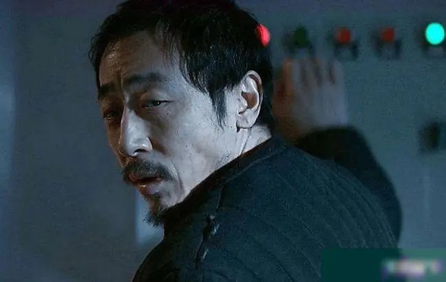 马兆为什么是海鸥