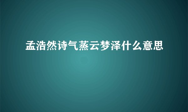 孟浩然诗气蒸云梦泽什么意思