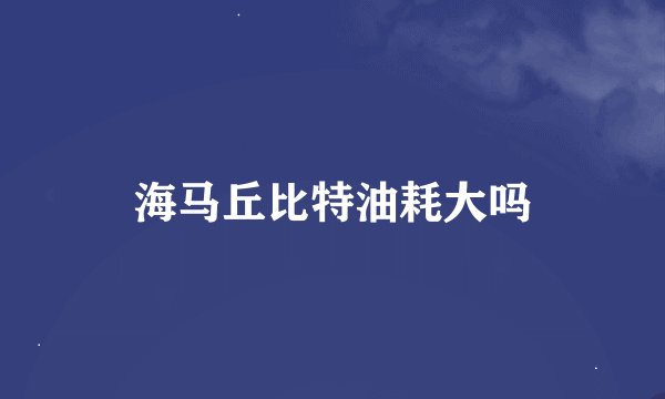 海马丘比特油耗大吗